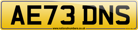 AE73 DNS
