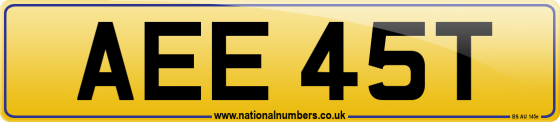 AEE 45T