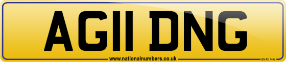AG11 DNG