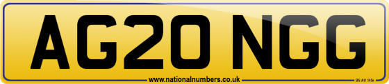AG20 NGG