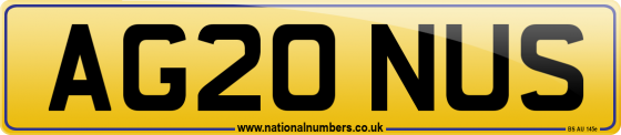 AG20 NUS