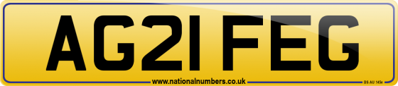 AG21 FEG