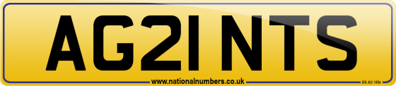 AG21 NTS