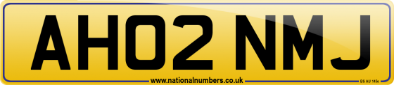 AH02 NMJ