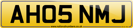 AH05 NMJ