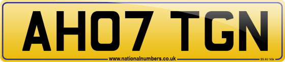 AH07 TGN