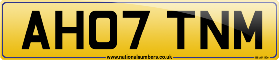 AH07 TNM