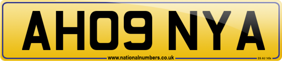 AH09 NYA