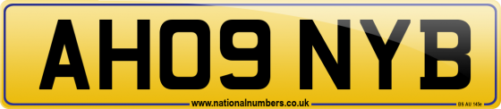 AH09 NYB
