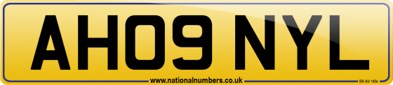 AH09 NYL