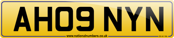 AH09 NYN
