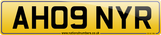 AH09 NYR