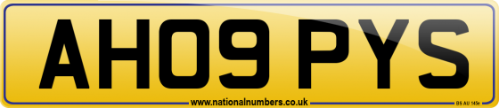 AH09 PYS