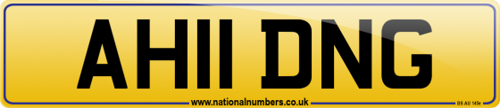 AH11 DNG