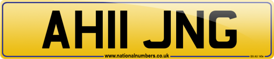 AH11 JNG