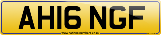 AH16 NGF