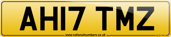 AH17 TMZ