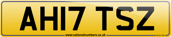 AH17 TSZ
