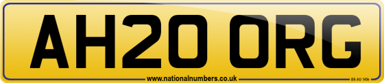 AH20 ORG