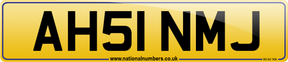AH51 NMJ