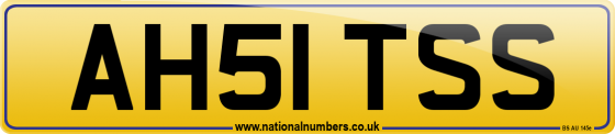 AH51 TSS