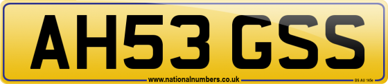 AH53 GSS