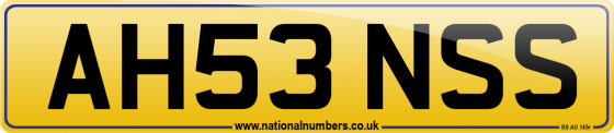 AH53 NSS