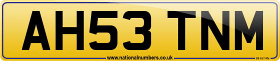 AH53 TNM