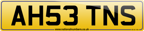 AH53 TNS