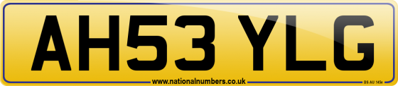 AH53 YLG