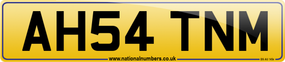 AH54 TNM