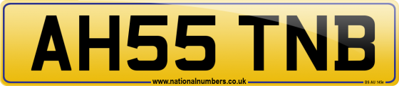 AH55 TNB