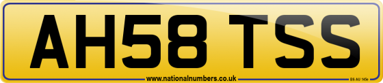 AH58 TSS
