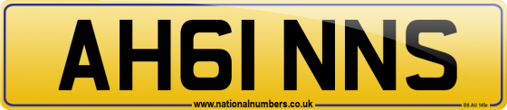 AH61 NNS