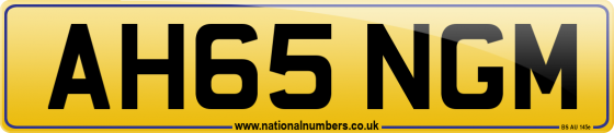 AH65 NGM