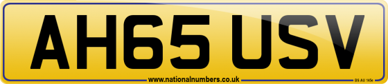 AH65 USV