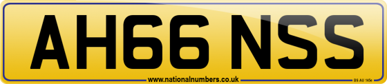 AH66 NSS