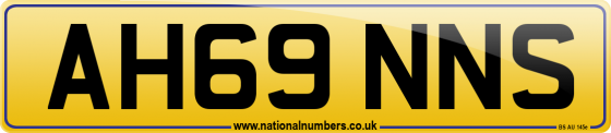 AH69 NNS
