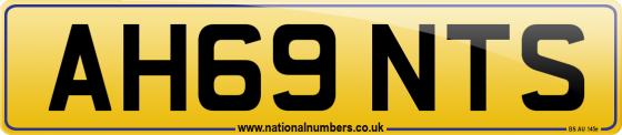AH69 NTS