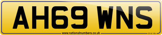 AH69 WNS