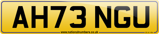AH73 NGU
