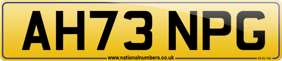 AH73 NPG