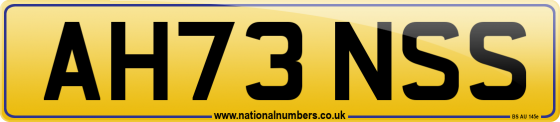 AH73 NSS