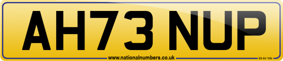 AH73 NUP