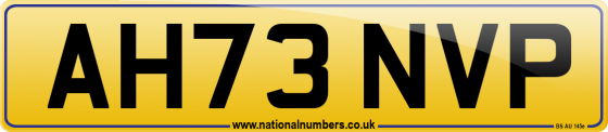 AH73 NVP