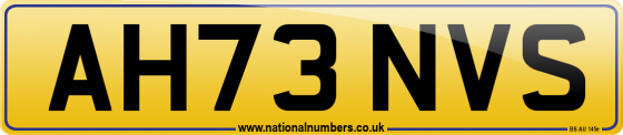 AH73 NVS