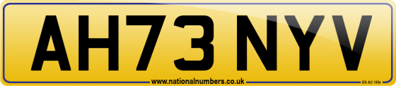 AH73 NYV