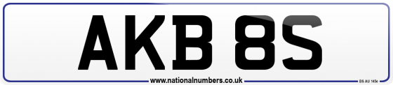AKB 8S