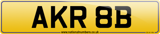AKR 8B