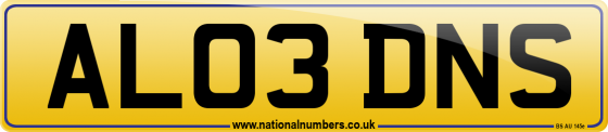 AL03 DNS